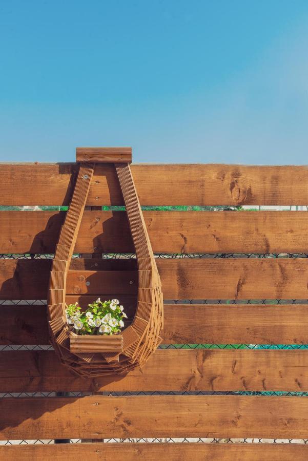 カボス Nuevo Vista Bed & Breakfast エクステリア 写真